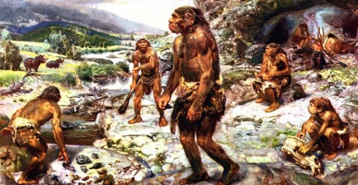 انسان نئاندرتال (Homo neanderthalensis)