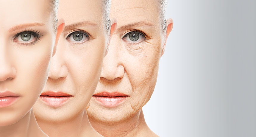تاریخچه پیری­‌شناسی