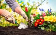 برای زندگی دلخواهتان مثل برنامه ریزی برای یک باغچه زیبا، برنامه ریزی کنید