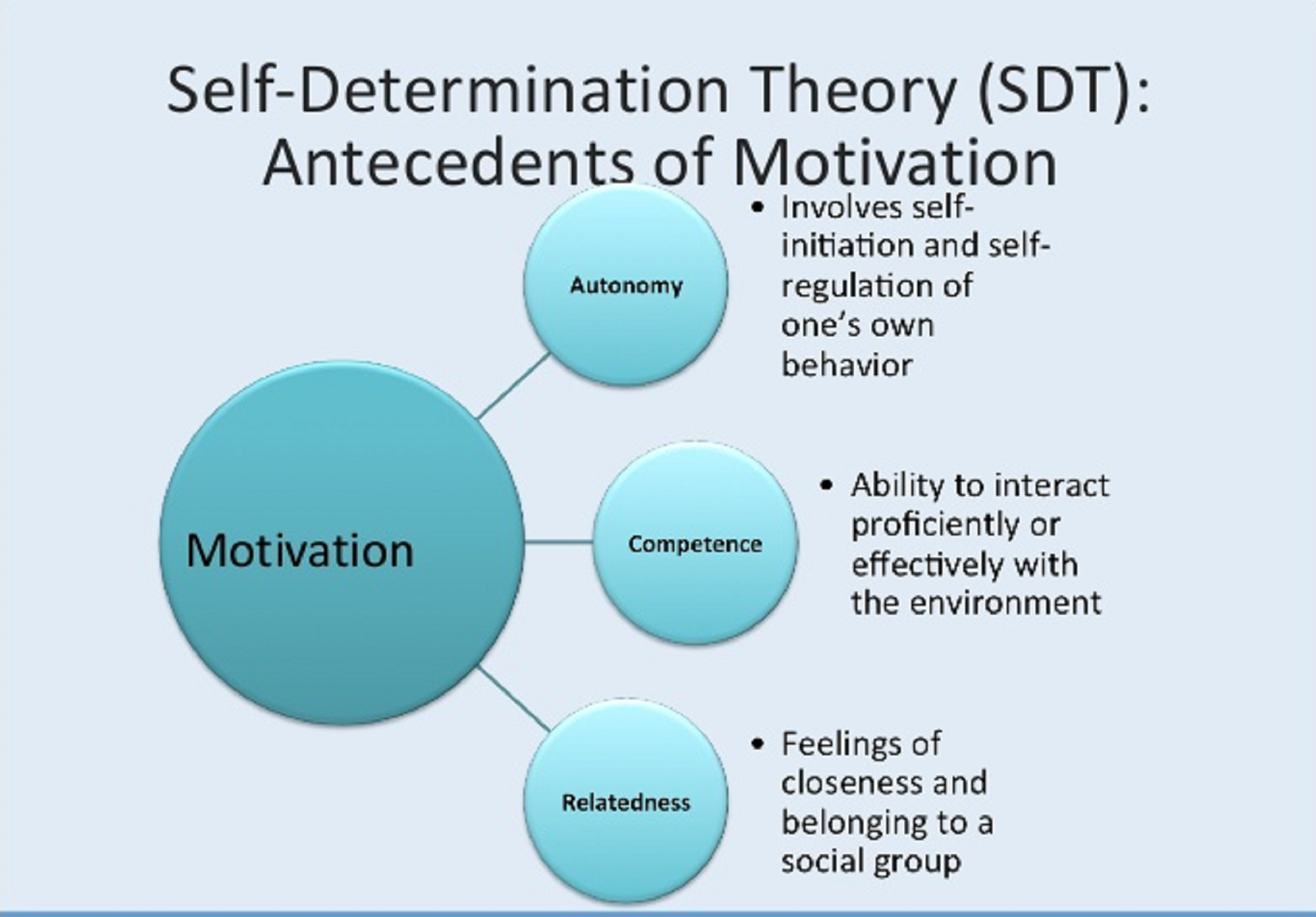 Determine behaviour. Self-determination Theory. Self-determination Theory (SDT). Self determination Theory autonomy. Motivation_Psychology/1.